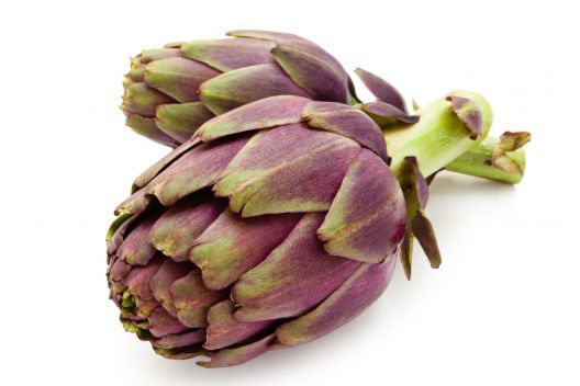 Naturosa Artichoke