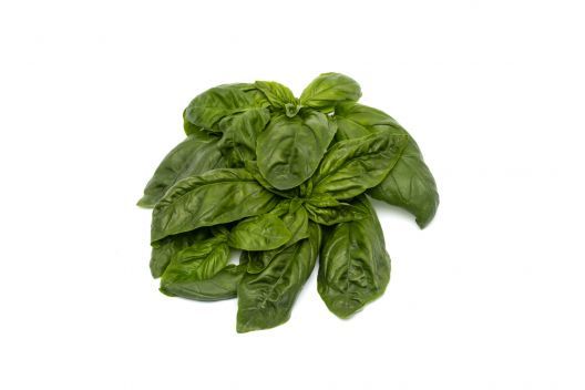 Naturosa basil
